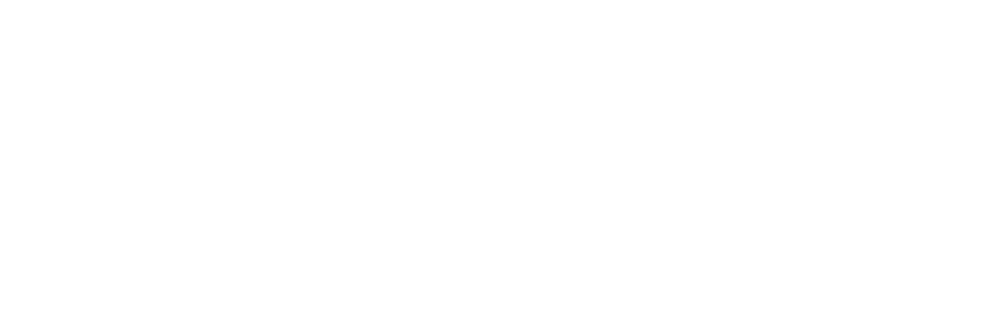 Logo WRS white